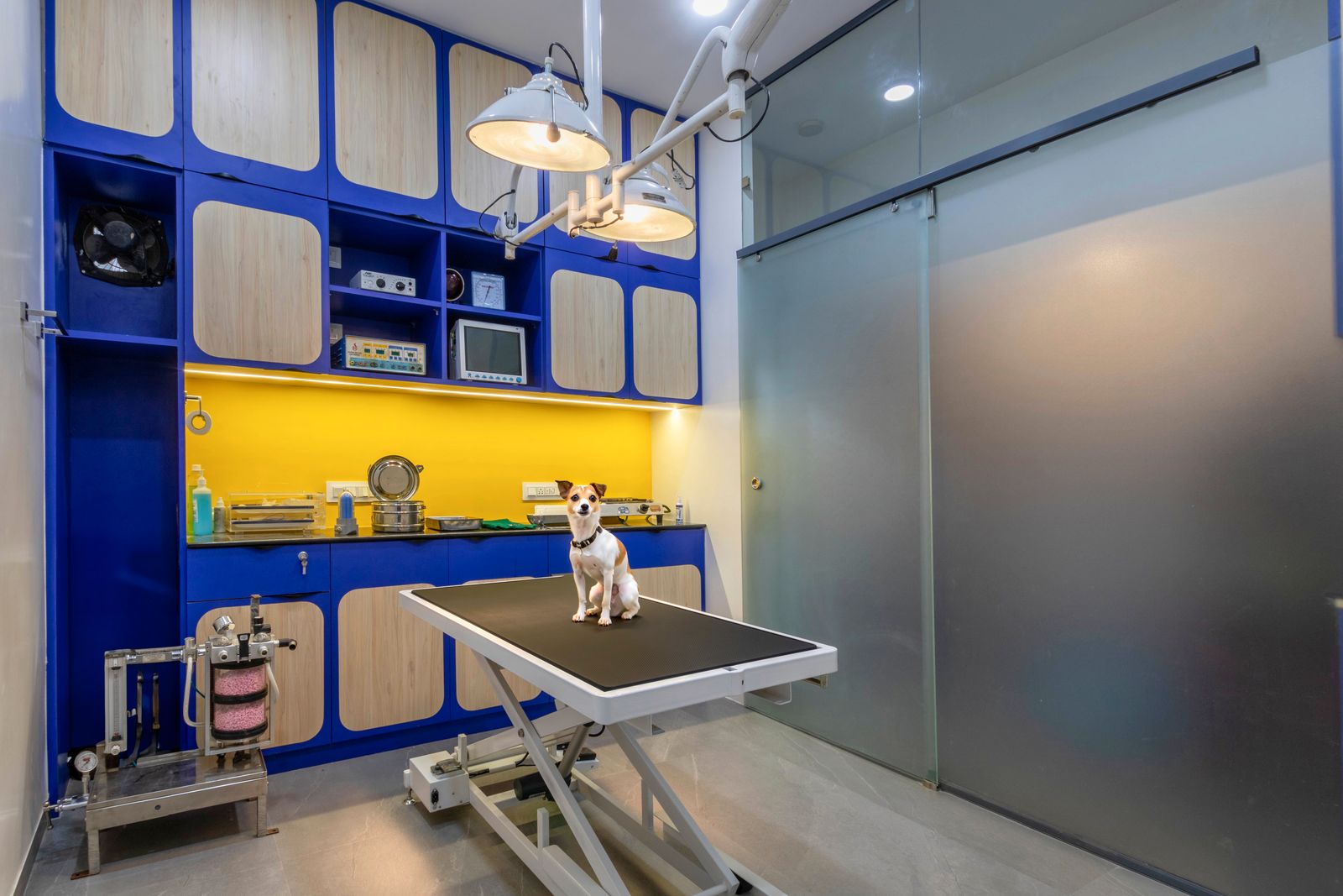 Vet Care — Commercial — Pune